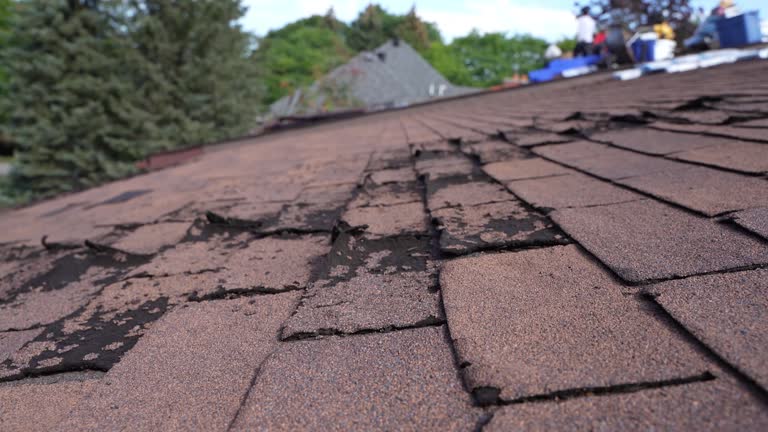 Fast & Reliable Emergency Roof Repairs in Paxtang, PA