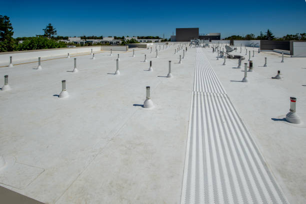 Roof Coating Services in Paxtang, PA